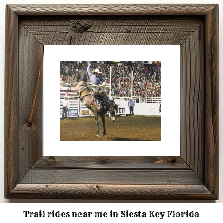 trail rides near me in Siesta Key, Florida